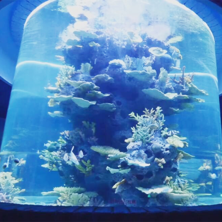 Acuario de tiburones acrílico redondo grande, pecera gratuita, Leyu Acrylic Factory se personaliza para usted - LEYU