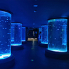 Dónde comprar Acuario cilíndrico de medusas - Leyu