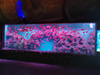 El acrílico de Leyu proporciona tanques de peces de acuario acrílicos grandes y transparentes a la venta - Leyu