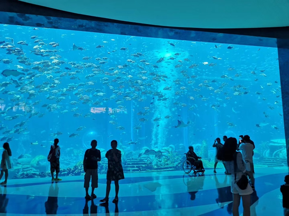 Dali Polar Ocean World - Acuario