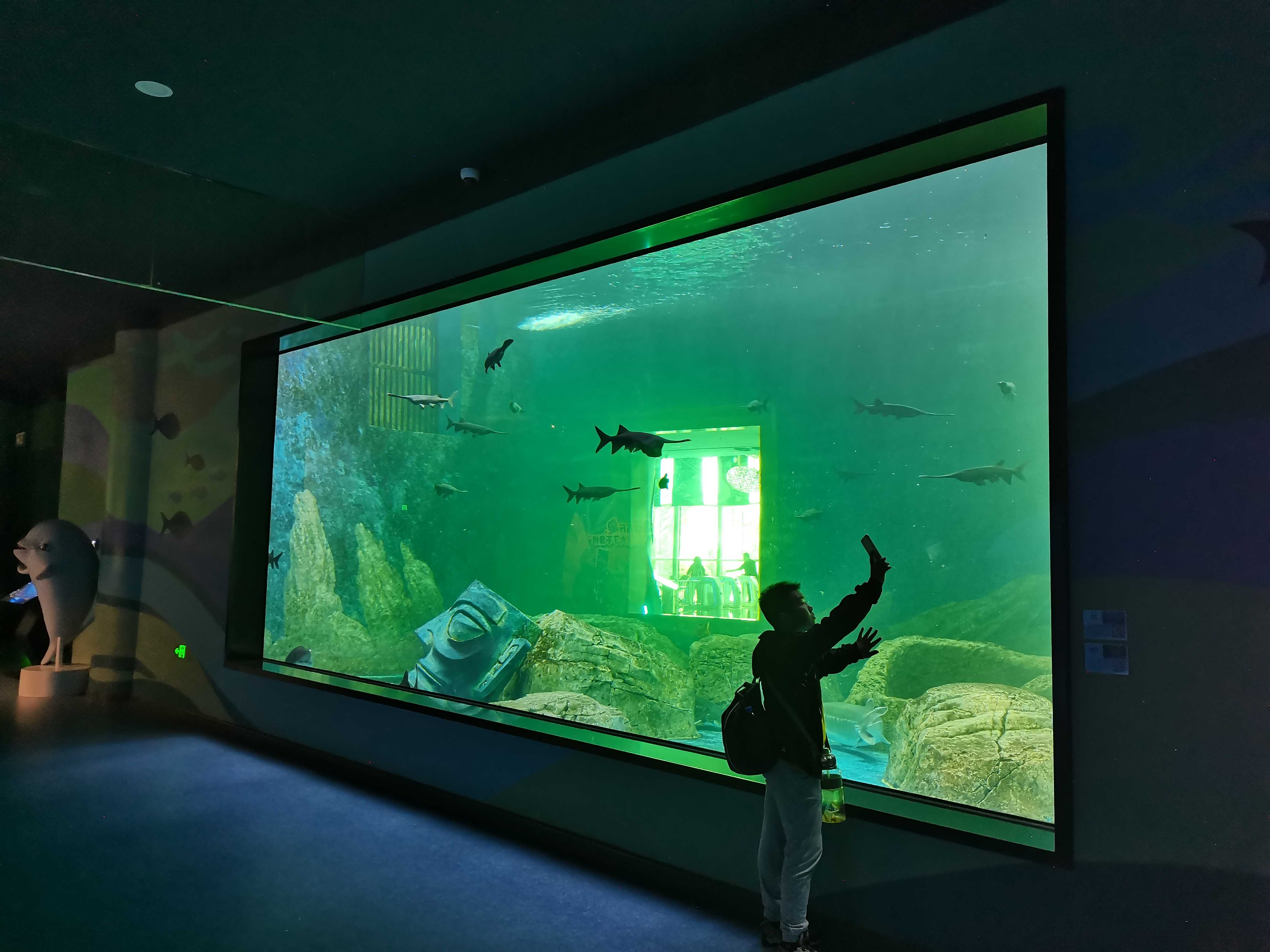 Le Yu Acrylic Factory te lleva a explorar el oceanario Sea World - Leyu