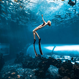 Acuario Túnel Acuario túnel submarino - LEYU