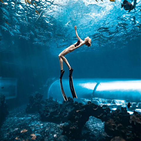 Acuario Túnel Acuario túnel submarino - LEYU