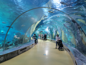 El acuario túnel cerca de nosotros está hecho de láminas acrílicas Leyu - Leyu 