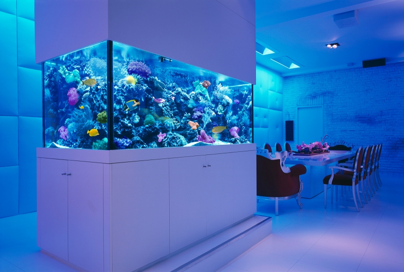 Quiero personalizar un acuario acrílico seaclear para la venta - leyu Acrylic Factory