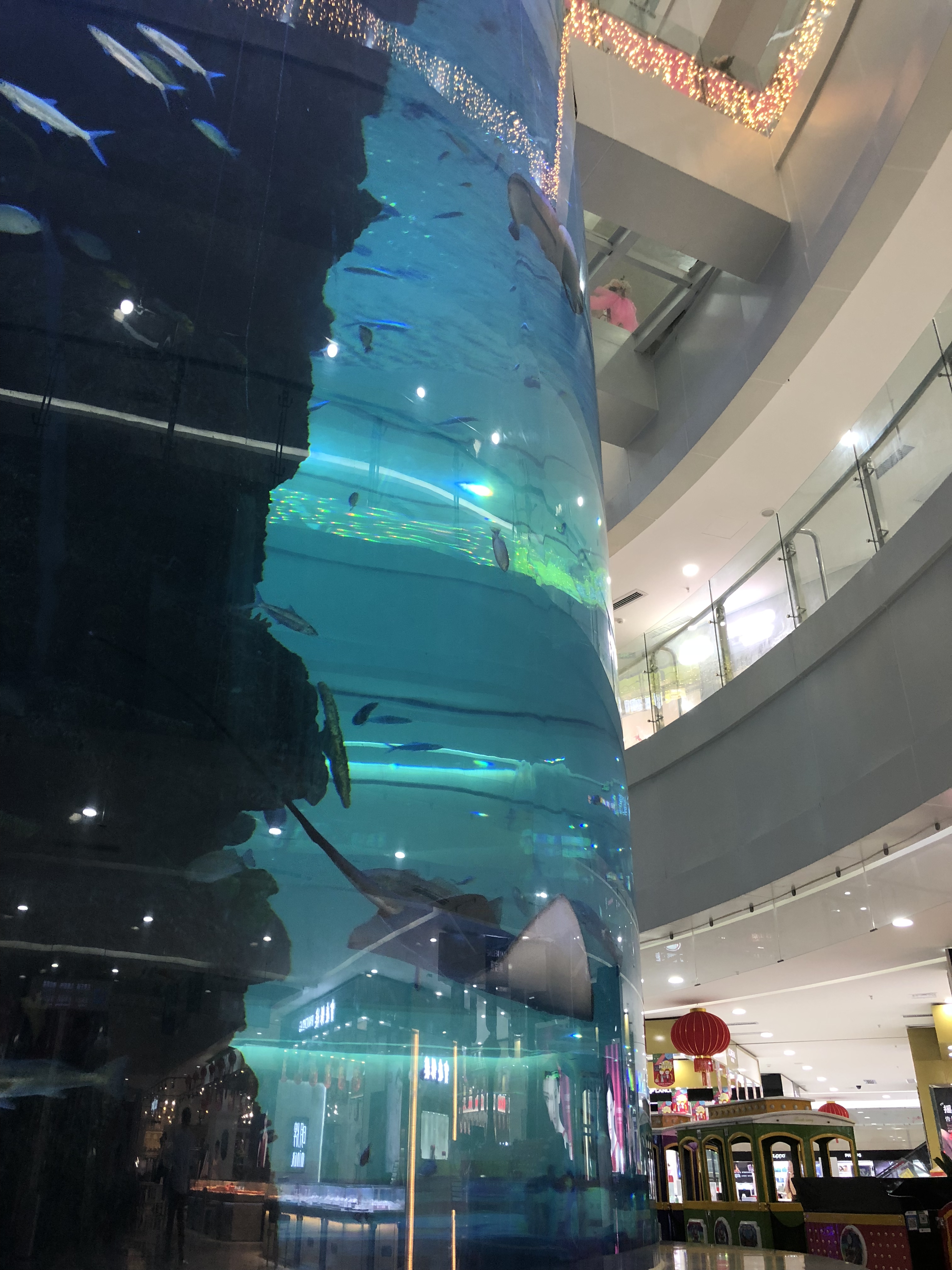 Póngase en contacto con leyu para personalizar Cilindro acrílico de gran diámetro para acuario de peces - Leyu 