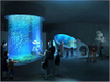 Fábrica de peceras de acuario de acrílico de cilindro grande - leyu