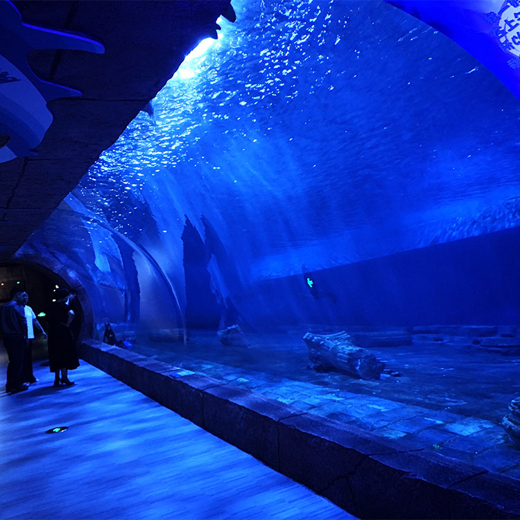 Acuario de ventana acr&iacute;lica - LEYU