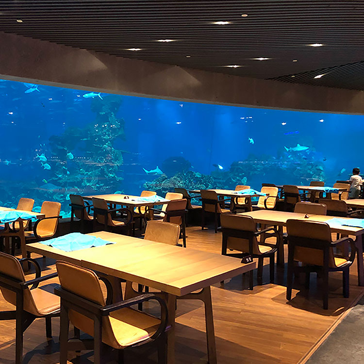 La tienda Aquarium Cafe tiene ventanas acrílicas, túneles de acuario acrílicos y peceras acrílicas - Leyu