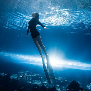 Los túneles de acuario, como el túnel del acuario de Bangalore, pueden ser fabricados por la fábrica de Leyu - Leyu
