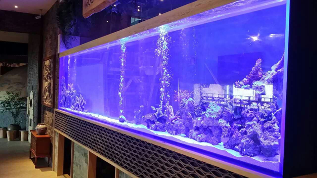 Suministro de fábrica Acuario de pecera de acrílico grande personalizado La fábrica de acrílico Leyu se personaliza para usted - LEYU