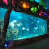 Paneles de acuario acrílicos personalizados de fábrica profesional de cualquier tamaño en Ocean Park - Leyu