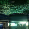 Acuario de tiburones acrílico redondo grande, pecera gratuita, Leyu Acrylic Factory se personaliza para usted - LEYU