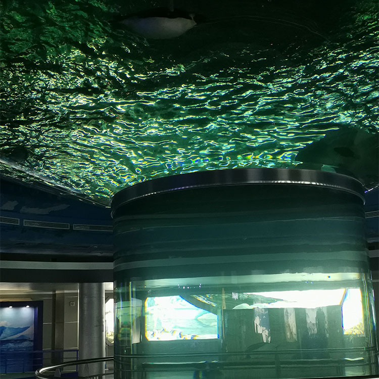 Acuario de tiburones acrílico redondo grande, pecera gratuita, Leyu Acrylic Factory se personaliza para usted - LEYU