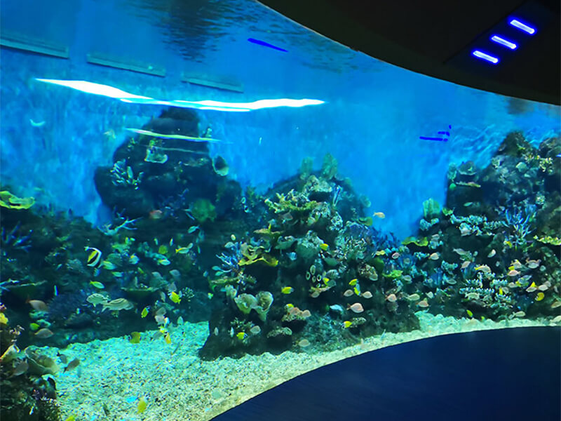 Mundo oceánico polar de Chongqing Hanhai - Leyu Arylic Aquarim