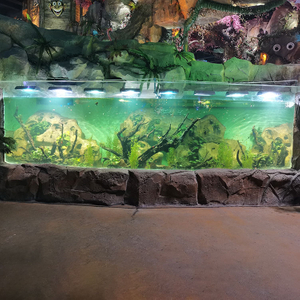 2024 El acuario no puede perderse el diseño de ventana curva del acuario - Fábrica de productos de láminas acrílicas Leyu