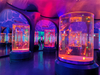 ¿Cuántos parques marinos en el mundo son acuarios públicos Acuario Acrílico - Leyu
