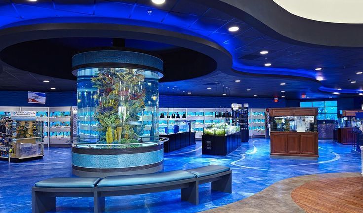 Cómo limpiar un acuario de pecera acrílica-Fábrica de productos de láminas acrílicas Leyu