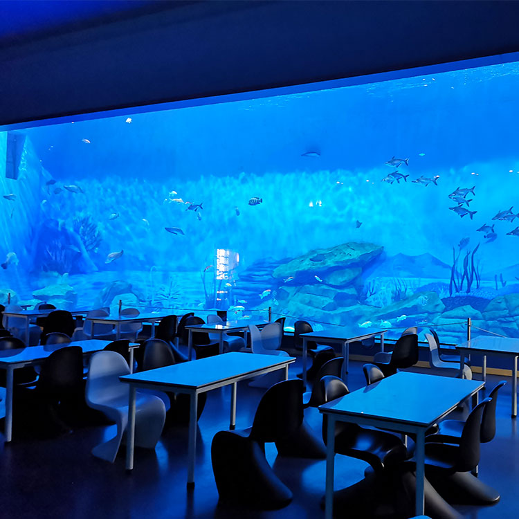 Cómo construir una ventana acrílica grande para un acuario a un precio razonable - Fábrica de productos de láminas acrílicas Leyu