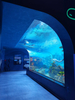 Le Yu Acrylic Factory te lleva a explorar el oceanario Sea World - Leyu