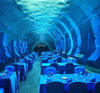¿Qué acuario tiene un túnel submarino? Leyu Factory vende túneles submarinos acrílicos- Leyu 