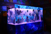 Quiero personalizar un acuario acrílico seaclear para la venta - leyu Acrylic Factory