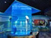 Acuario de acrílico con cilindro transparente grande, pecera, Leyu Acrylic Factory se personaliza para usted - LEYU