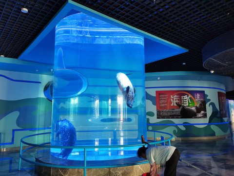 Acuario de acrílico con cilindro transparente grande, pecera, Leyu Acrylic Factory se personaliza para usted - LEYU