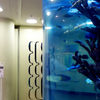 Leyu Acrylic Aquarium Factory vende láminas acrílicas para acuario con un espesor máximo de 800 mm - Leyu