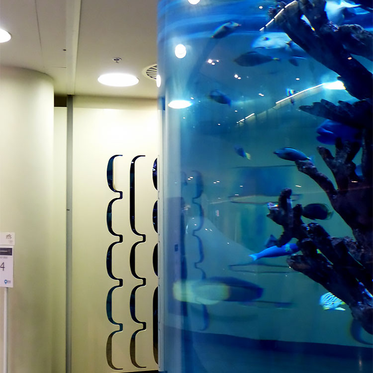 Leyu Acrylic Aquarium Factory vende láminas acrílicas para acuario con un espesor máximo de 800 mm - Leyu