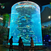 Bienvenido a un oceanario como la fábrica de acrílico Oceanarium-leyu de Lisboa