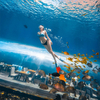 360 Aquarium Tunnel Polar Ocean World, Leyu profesional personalizado- Leyu