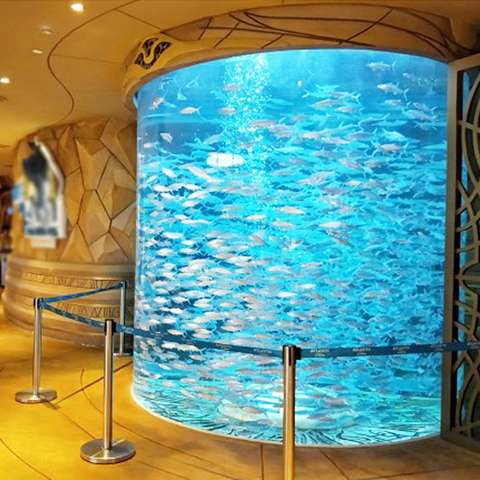 Acuarios comerciales de peces acrílicos: su guía completa - Leyu 