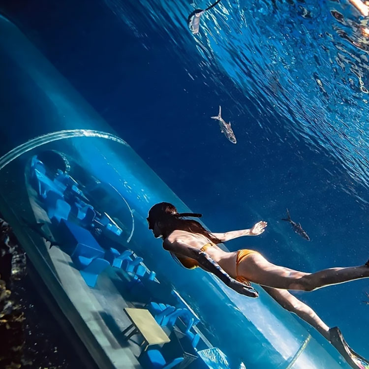 El acuario de cilindro acrílico personalizado debe prestar atención a qué - Leyu