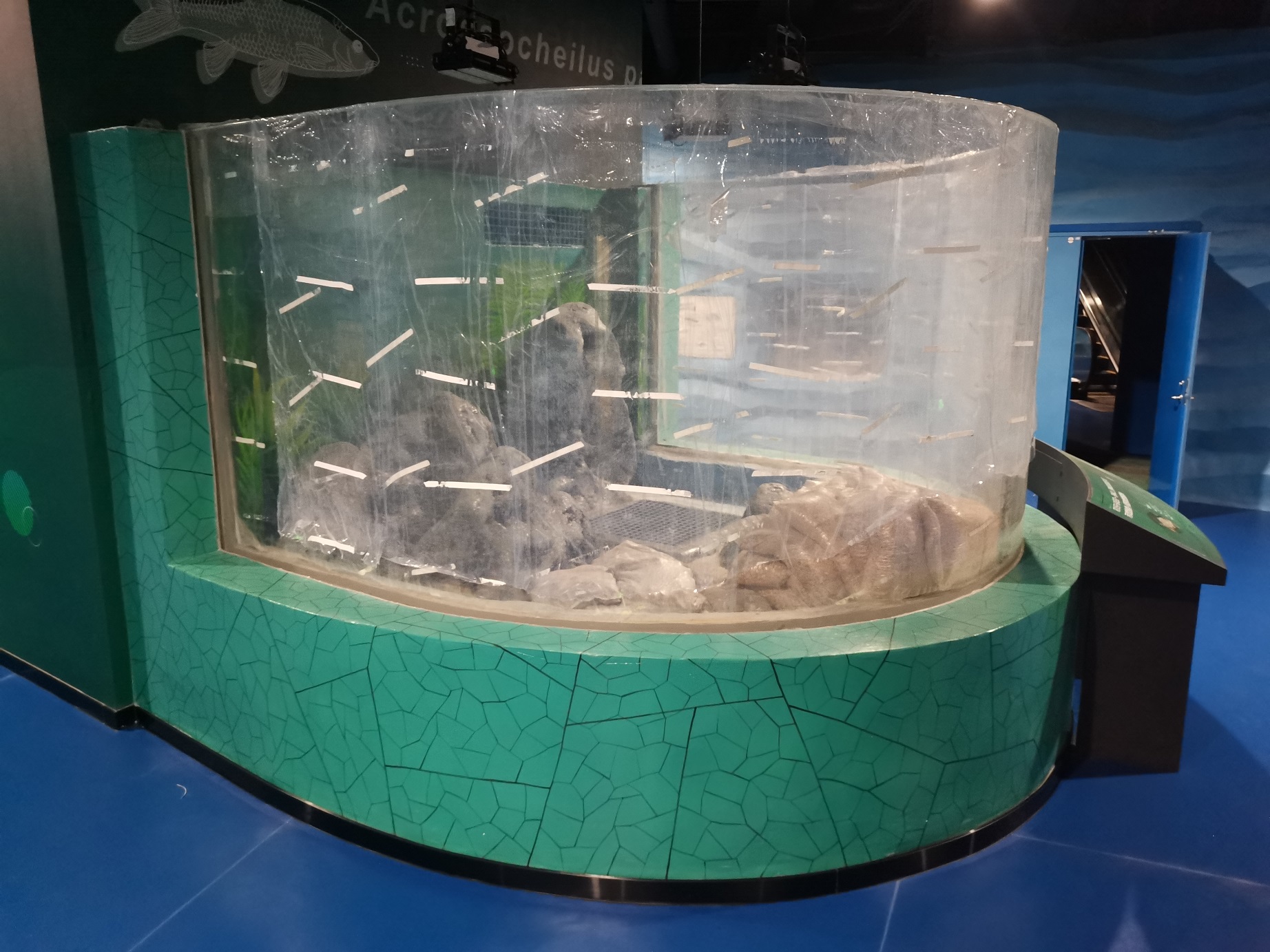 Láminas Acrílicas para Acuario Cortadas a Medida para acuario acrílico - LEYU 