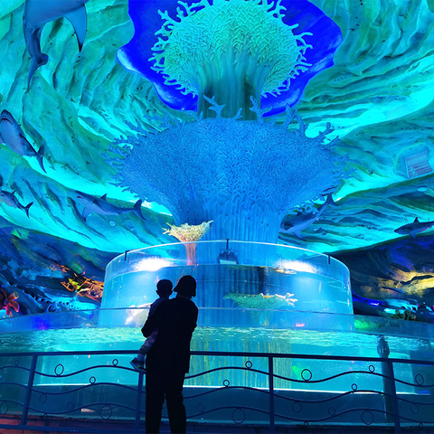 El acuario de cilindro acrílico personalizado debe prestar atención a qué - Leyu