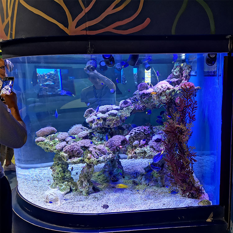 Acuario de tiburones acrílico redondo grande, pecera gratuita, Leyu Acrylic Factory se personaliza para usted - LEYU
