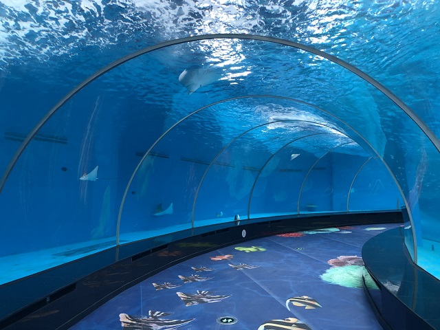 Los túneles de acuario, como el túnel del acuario de Bangalore, pueden ser fabricados por la fábrica de Leyu - Leyu
