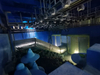 Cómo construir un túnel submarino Preste atención a la fábrica de productos Leyu Plexiglass- Leyu 