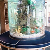 Acuario cilíndrico Acuario cilíndrico de ACRÍLICO Fabricantes de acuarios acrílicos - LEYU