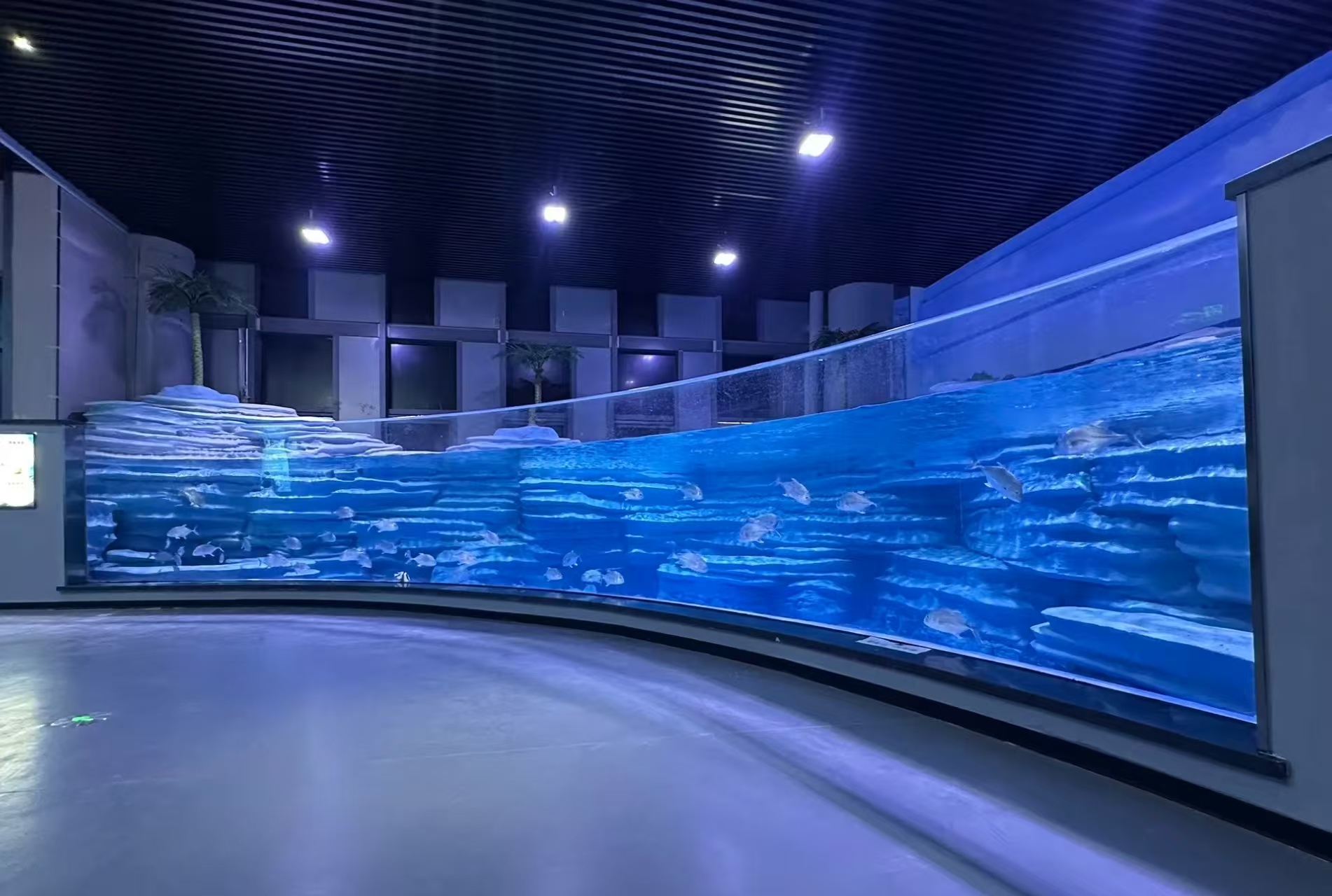 El proyecto del acuario acrílico es un proyecto muy completo