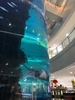 Cilindro acrílico propio de gran diámetro para acuario de peces - Leyu 