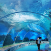 ¿Cuáles son las características del acuario túnel en la fábrica de productos de láminas acrílicas de Bangalore-Leyu?